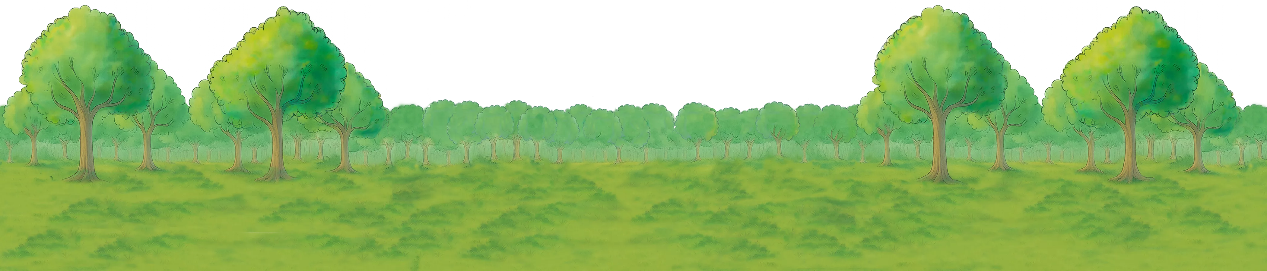 back trees