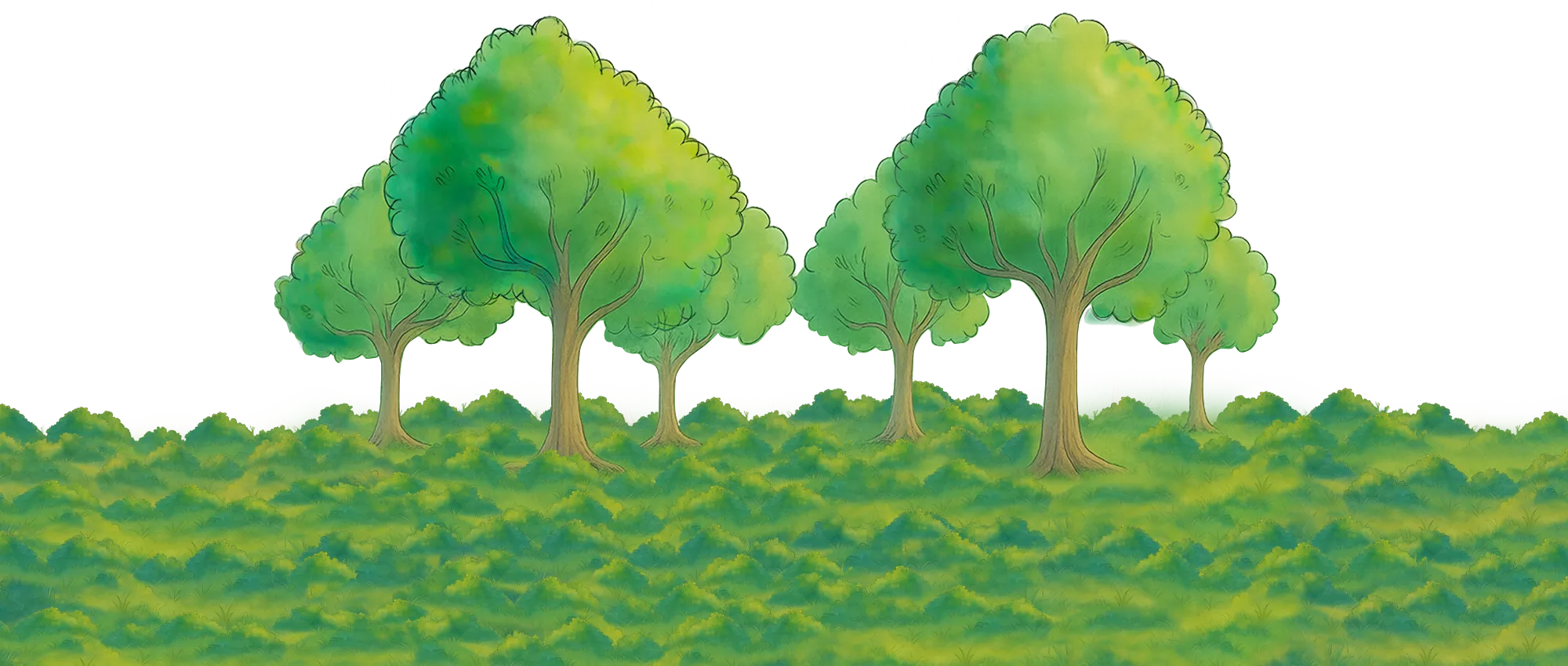 back trees