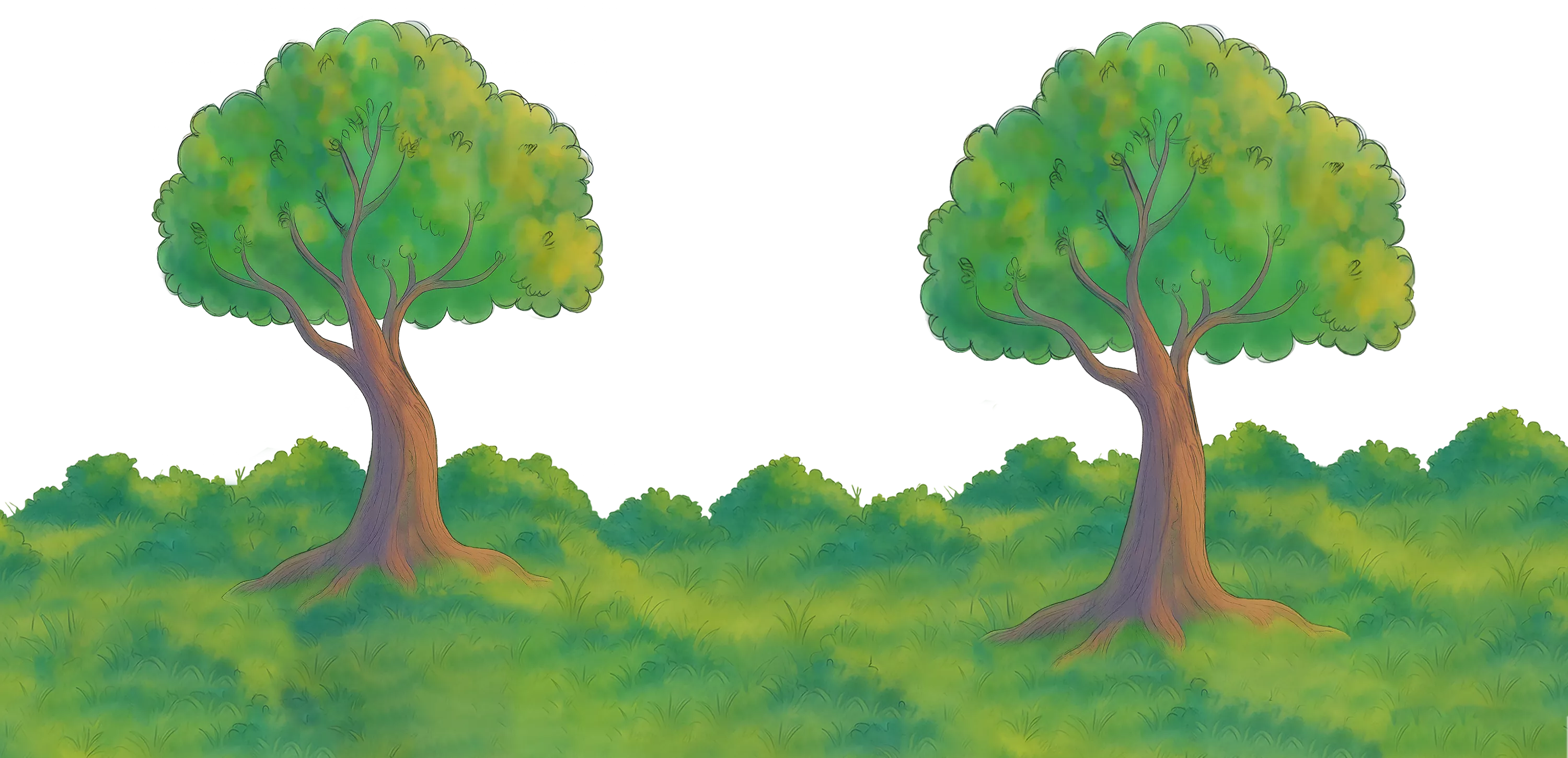 Middle Trees